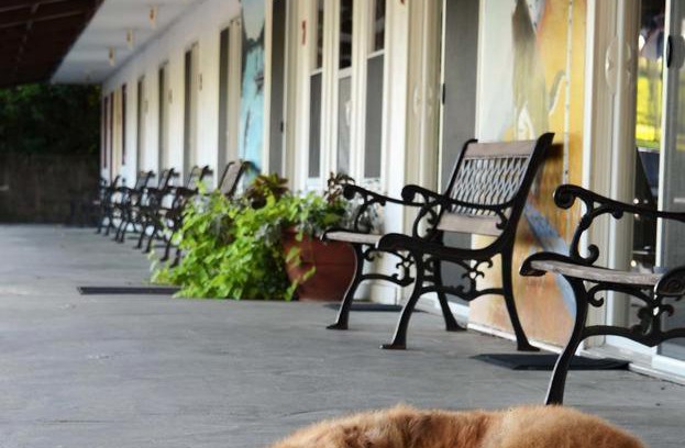 Leon Hotel | Little River Inn Motel
