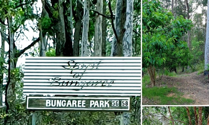 Wamban Cabina | Log cabin in private bush setting