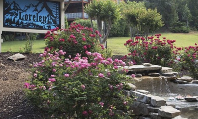 Helen Complejo | Loreley place