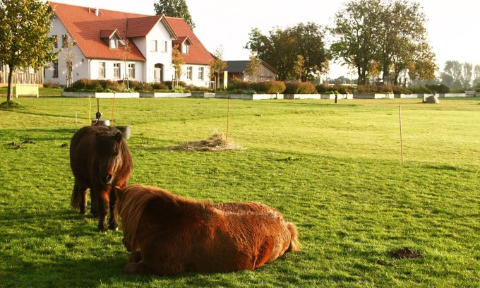 Stahlbrode Casa | Casa de campo reformada con gusto en una granja ecológica, a solo 1 km del ferry de Rügen