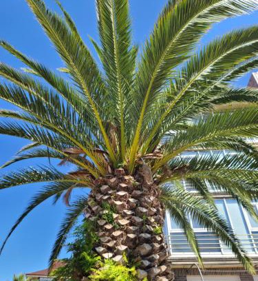 Noja Apartamento | Luminoso Apartamento Playa Ris con garaje