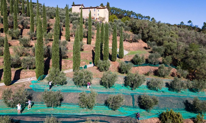 Cascine-La Croce Villa | Luxury 6-bed Tuscan villa near Lucca and Florence w/ saltwater pool