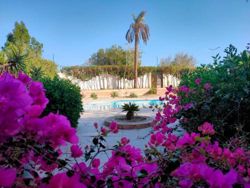 Al Mamsha El Seyahi Apartamento | Luxury Gardenhouse pool WiFi Hurghada