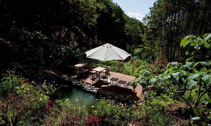 Da Lat Complejo | Mơ Stay Forest Resort