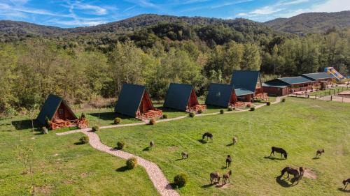 Central Serbia Apartamento | Magareće Mleko Eko Farma Sisevac Wellness&Spa
