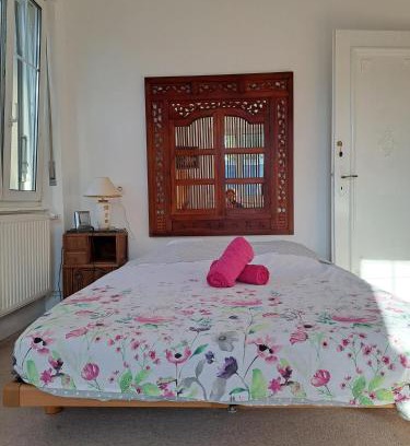 Haguenau Casa | Maison de ville 1933