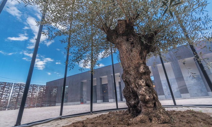 Gyumri Hotel | Manifest Restaurant and Hotel