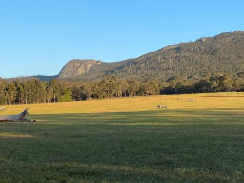 Porongurup Chalet De Esquí | Manyat Peak cottages Boobook