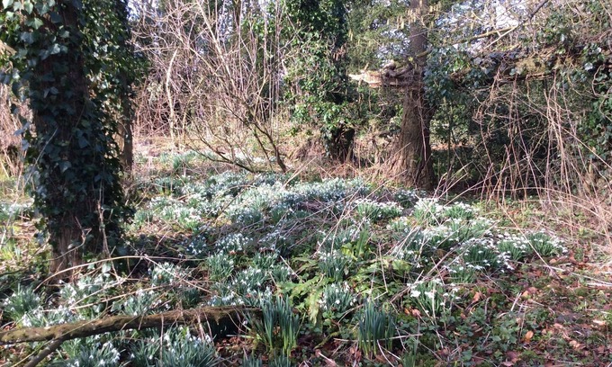 Ebbesborne Wake Otro | Marshwood Farm B&B