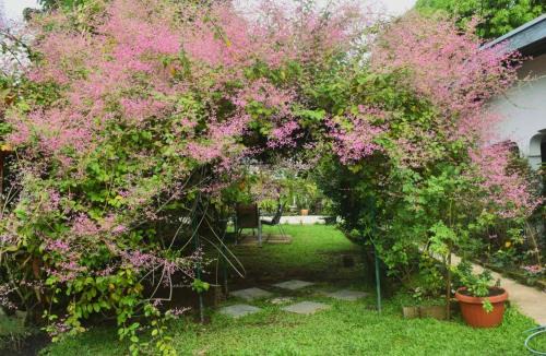 Ba Apartamento | Marys Cottage