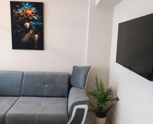 Tulcea Apartamento | Masaryss luxury apartament 2