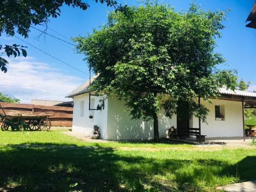 Vinnytsia Oblast Apartamento | Mazanka ua Під Вишнею унікальний будинок на березі річки