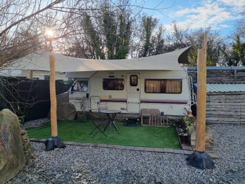 Crymych Otro | Mehefin Coed c/o llwyn Celyn