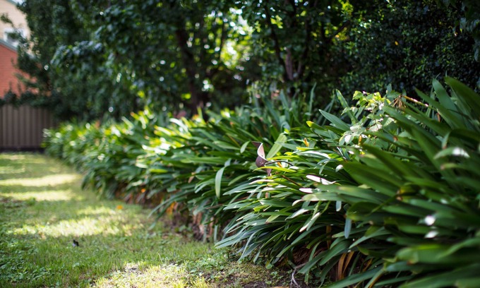 Tumut Hotel | Merivale Motel