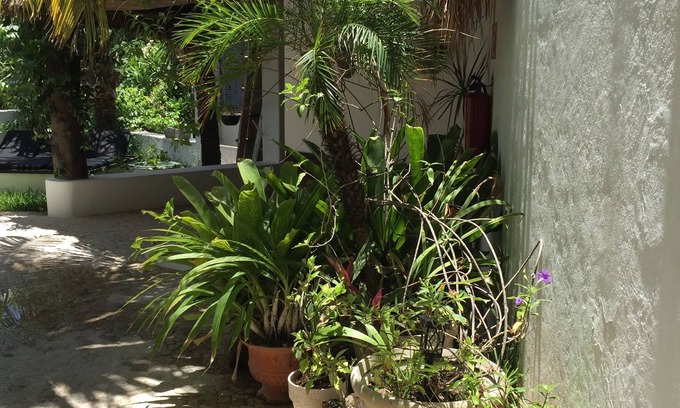 Colonia Centro Casa | Mi Casa en Cozumel