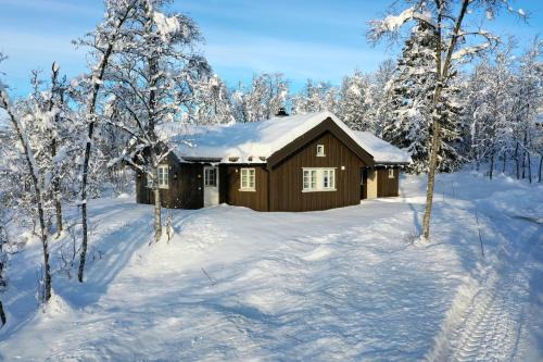 Beitostolen Chalet De Esquí | Modern Comforts, and Ski Access