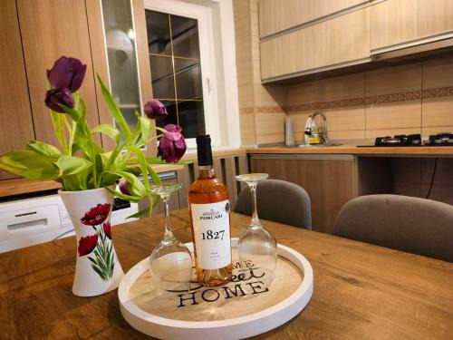 Petrosani Apartamento | Mountain View Apartment