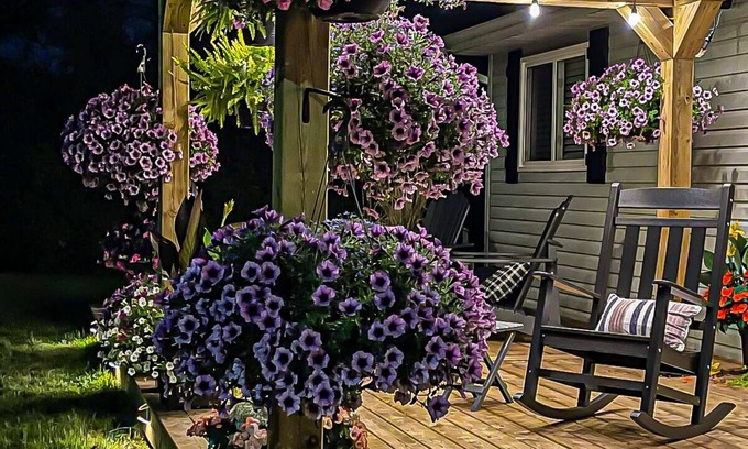 Dartmouth Casa | Musician's East Coast Bungalow - 10 mins to Downtown