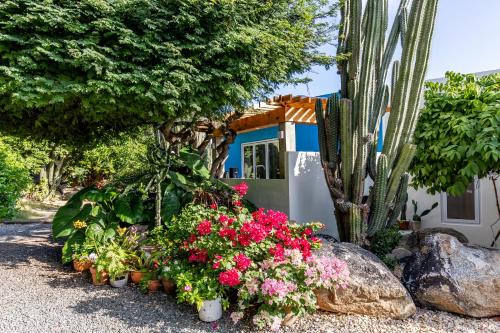 Paradera Cabina | Naïma Luxury Home, Cottage & Apartment Rentals