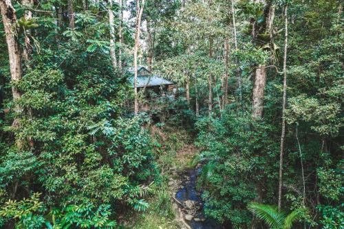 North Maleny Cabina | Narrows Escape Rainforest Retreat