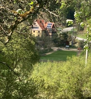 Immendingen Apartamento | Natur Idylle mit Tieren in der Dachsmühle zwischen Bodensee und Schwarzwald