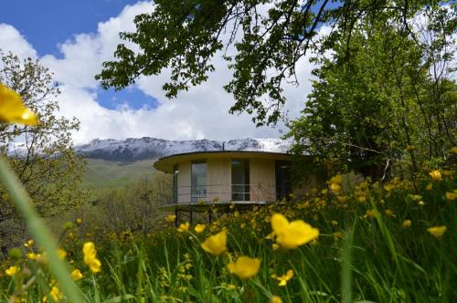 Kaputan Casa | Nature Rooms cabin