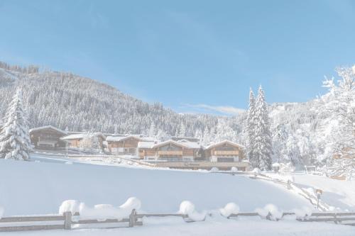 Flachau Apartamento | Natursinn Mountainchalets