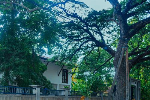 Dambulla Hotel | Nimala Holiday Homes