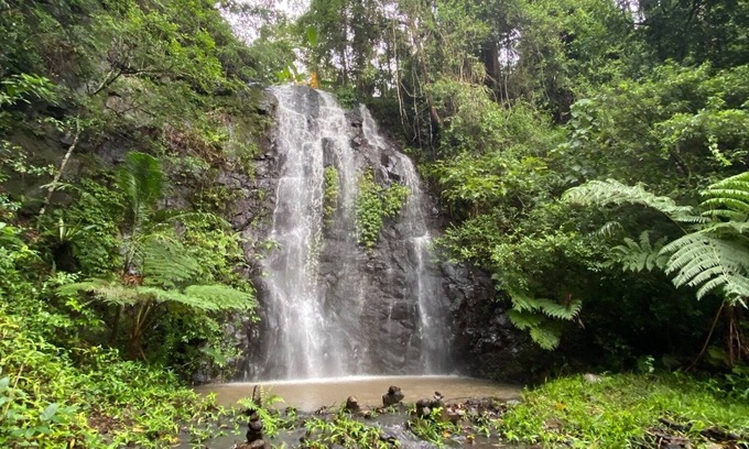 Nimbin Cabina | Nimbin Waterfall Retreat