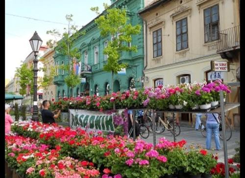 Sombor Apartamento | Nina centar