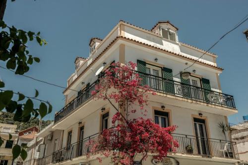 Zakynthos Apartamento | Nitsa's Corner