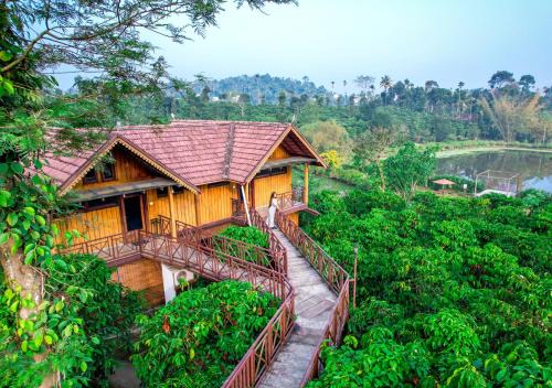 Kalpetta Complejo | Niyatma Wayanad Pool Resort by VOYE HOMES - Inside Coffee Plantation