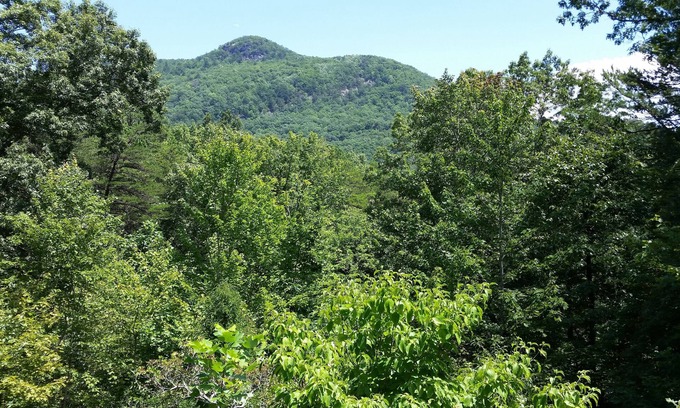 Clayton Casa | Escapada a la montaña del norte de Georgia