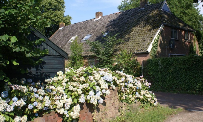 Diever Otro | Antigua granja de propiedad británica / holandesa adyacente al hermoso Parque Nacional de Drenthe