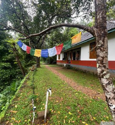 Pala Casa | Nutmeg nirvana