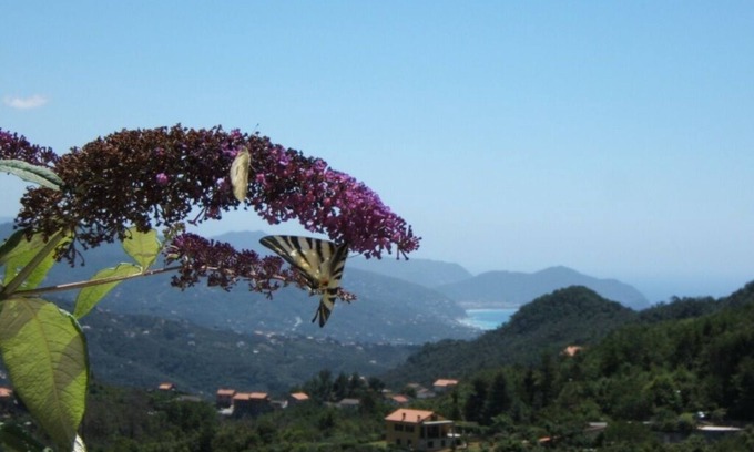 San Colombano Certenoli Apartamento | Oasis de relajación entre la colina y el mar! Entre Portofino y Cinque Terre