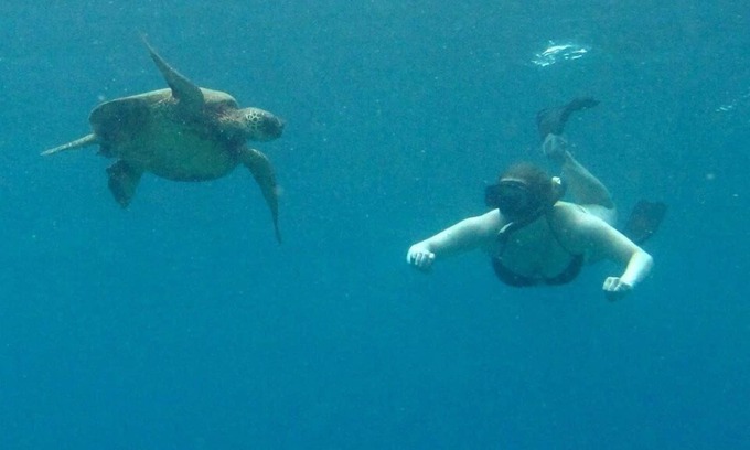 Maalaea Condominio | ESPECIAL DE VERANO FRENTE AL MAR! $ 250 / NOCHE 2 habitaciones, 2 baños, aire acondicionado central