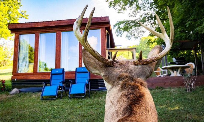Town of Broome Cabina | Off-Grid, Buck Tiny House with Indoor Soaking Tub & Mountain Top Views