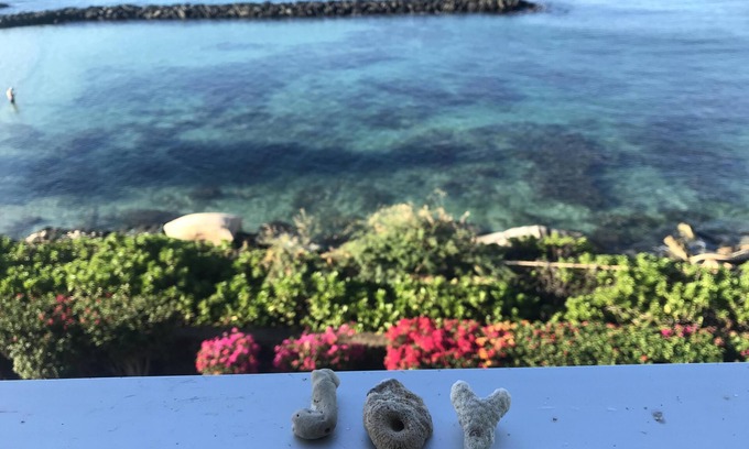 Makaha Condominio | Oh las vistas! Condominio frente al mar: delfines, tortugas y puestas de sol oh my!