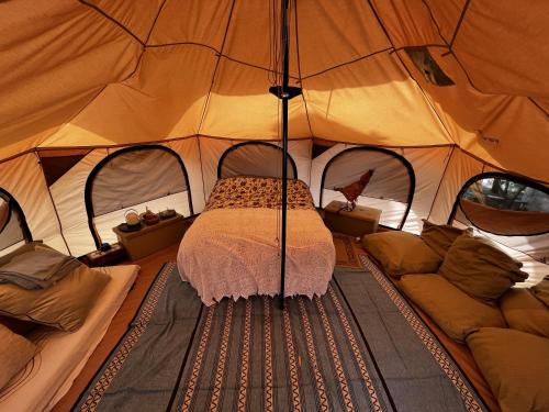 Quartu Sant'Elena Otro | Olive Tent - In Our Garden