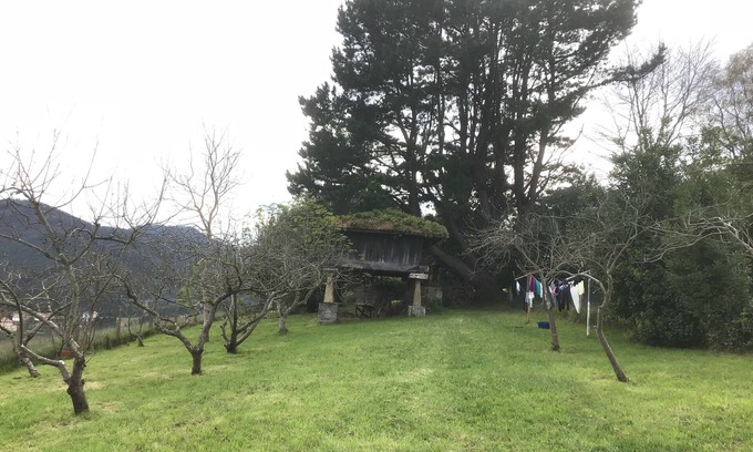 Muros de Nalón Casa | En la costa occidental de Asturias, casita adosada en plena naturaleza