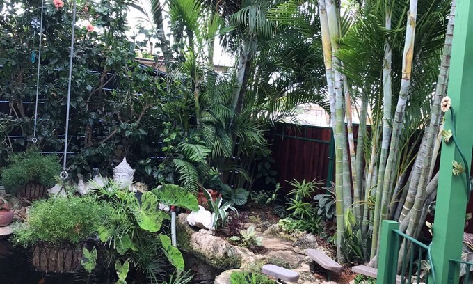 Marine Gardens Cabaña | Cabaña independiente de una habitación