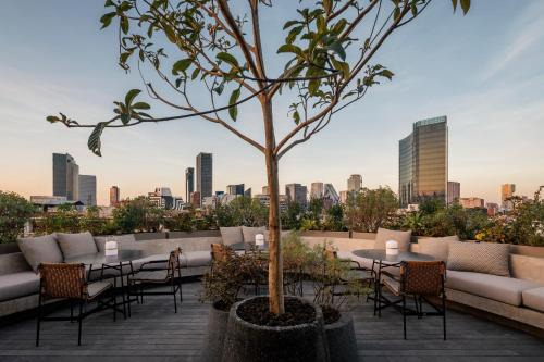 Roma Norte Hotel | ONTO Tonalá Mexico City