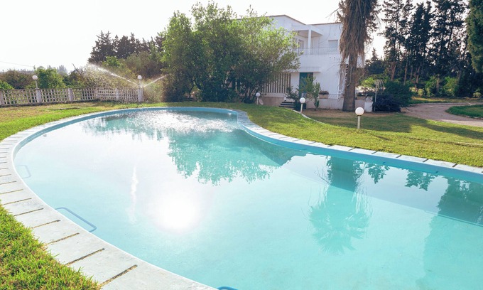 Nabeul Governorate Otro | orange scents