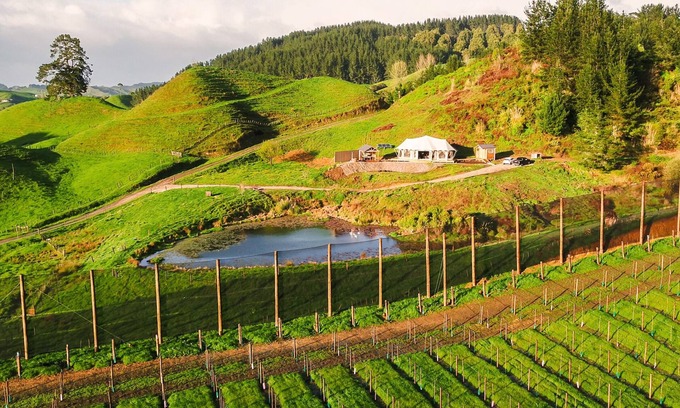 Otorohanga Alquiler De RV | Orchard Valley, Waitomo Boutique Glamping