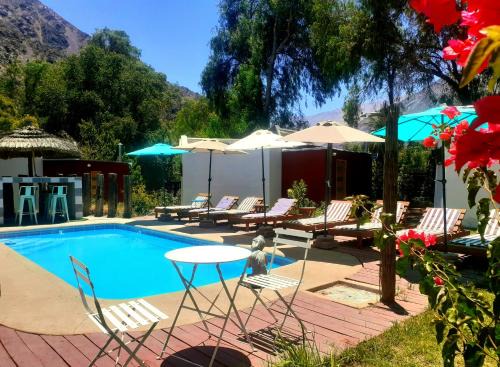Vicuna Cabina | Organica Lodge Hotel Boutique