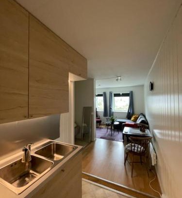 Lebesby Apartamento | Overnatting Kjøllefjord, Hybelleilighet med kjøkkenkrok og eget bad