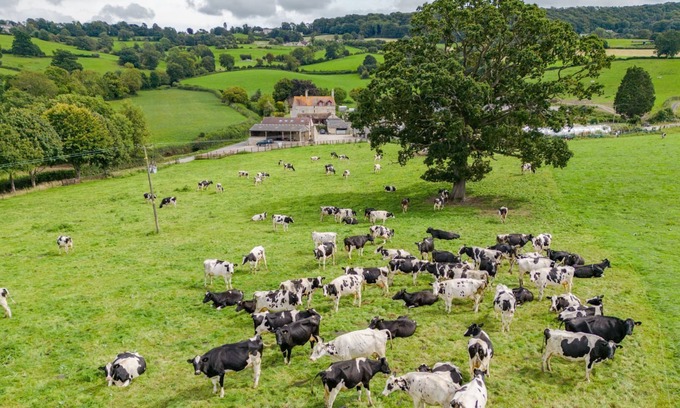 Gloucester Cabaña | Owls Nest Barn - sleeps 9 guests in 4 bedrooms