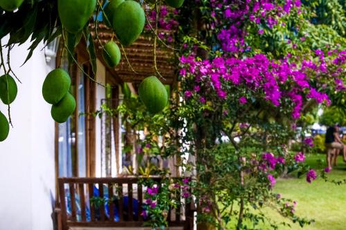 Barra Grande Casa | Pé na Areia