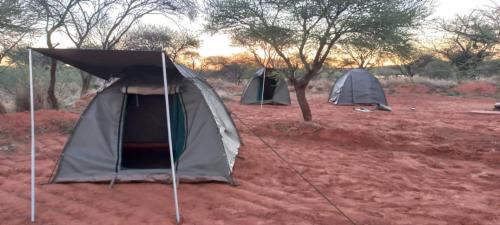 Gaborone Otro | Pa Vula Hotels Campsite and Gardens